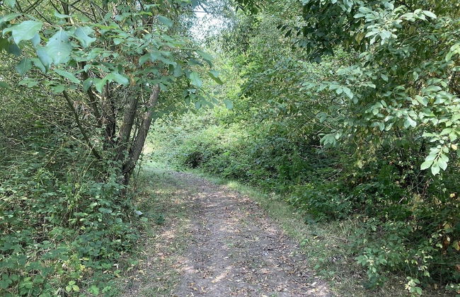 Oxton Hill Hideaway - Foto 22