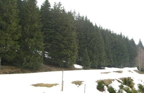 Appartement 2 pièces cabine pied des pistes - FR-1-557-78 - Foto 11