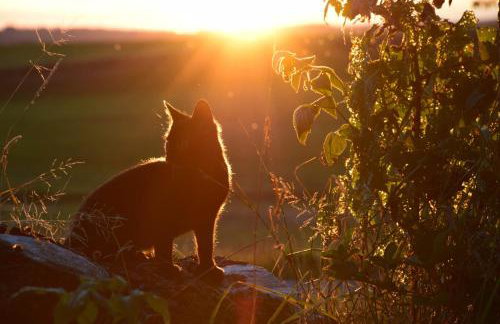 Ferienwohnung Heuboden - Foto 5