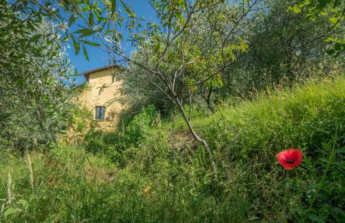 Holiday Home Villa Garibaldino by Interhome - Foto 19