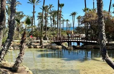 Apartament La Mata - Photo 12