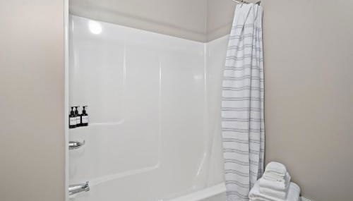 The Black Squirrel in Fairhaven - Foto 4