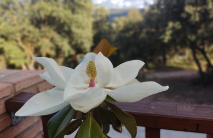 CR La Carrasca - Foto 34