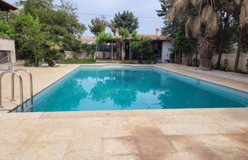 Riviera Paradiso - Foto 11