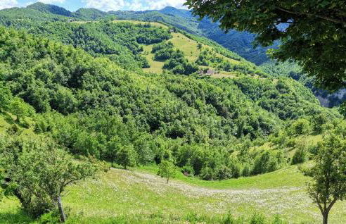 Bosco Stellato - Foto 16