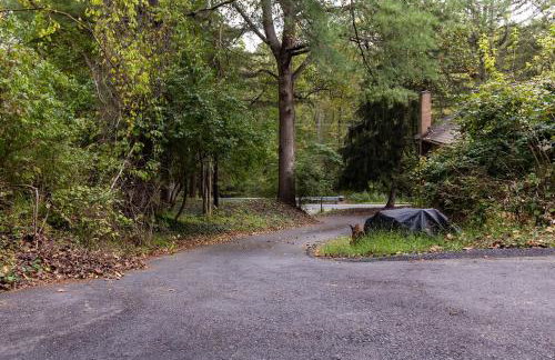 Quiet Cottage In The Woods, with Hot Tub! - Foto 31