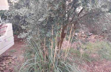 Vitamin sea Studio - Foto 45