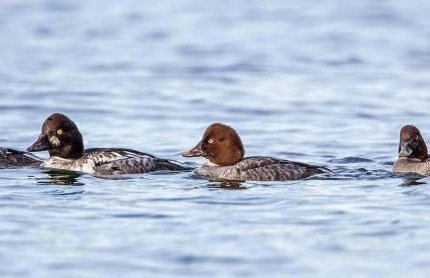 Spacious Retreat 3 Miles to Airport 12 to Seattle - Foto 14