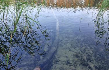 Wczasowe Wzgórze Swornegacie - Foto 27