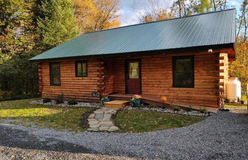 Blackbear Log Cabin - Foto 22