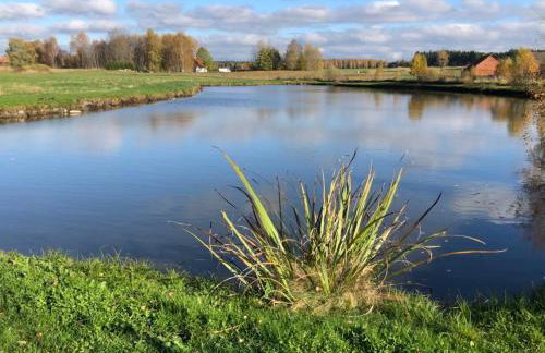 Caloroczny domek letniskowy ze stawem - Foto 23