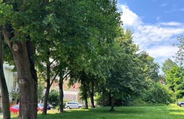 Mintara Komfort Apartment mit Grill -Terrasse, Sky und Parkplatz - Foto 29