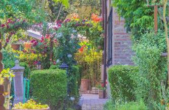 I Due Cipressi - Foto 34