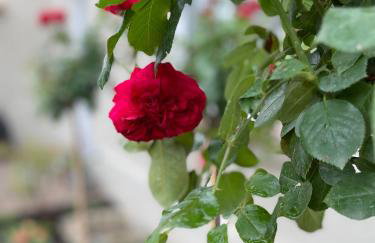 Hofquartier Schwerin - Photo 29