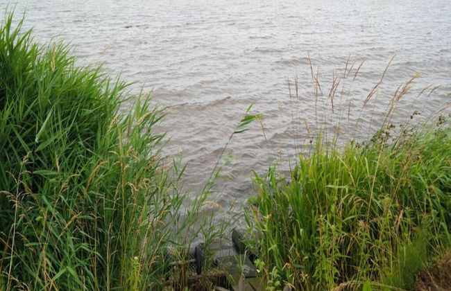 6 Pers Holiday Home Aurora With Directly on the Lauwersmeer - Foto 20