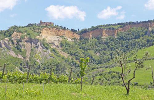 Agriturismo Podere Marcampo - Foto 15