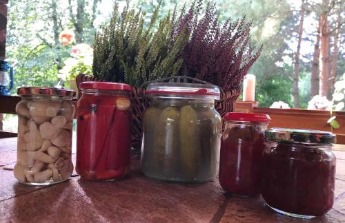 DOMEK POD DĘBEM - Foto 29