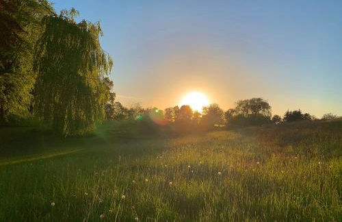 Ferienwohnung Unter Reet in Grebin - Foto 18