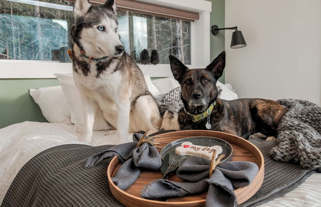 Skyridge Glamping - Foto 11