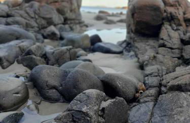 appartement vue mer 50m de la plage, WIFI gratuit - Foto 35