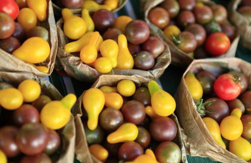 LE GRAND PARIS LA MAISON DE VACANCES - Foto 26