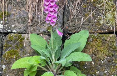 Wanderer Paradies - Foto 12