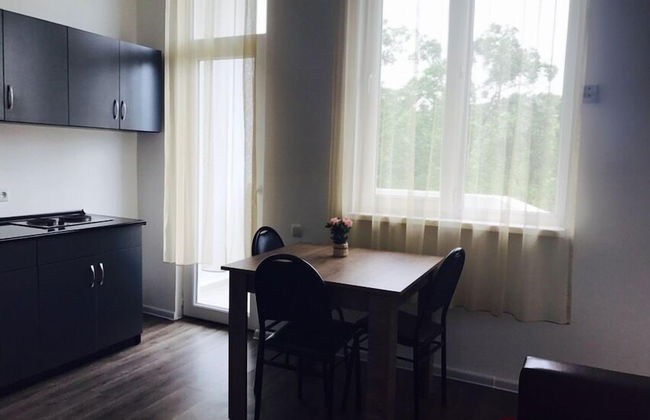 Apart-Hotel BlackSeaGeorgia BSG - Foto 39