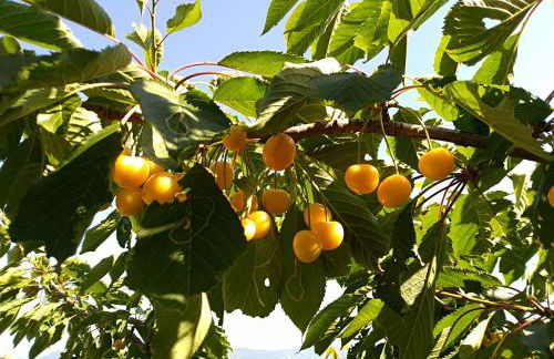 La Locanda dei Cavalieri - Foto 3