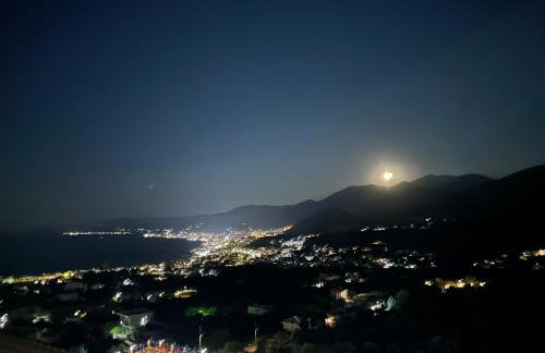 Blue Horizon Apartments - Foto 65