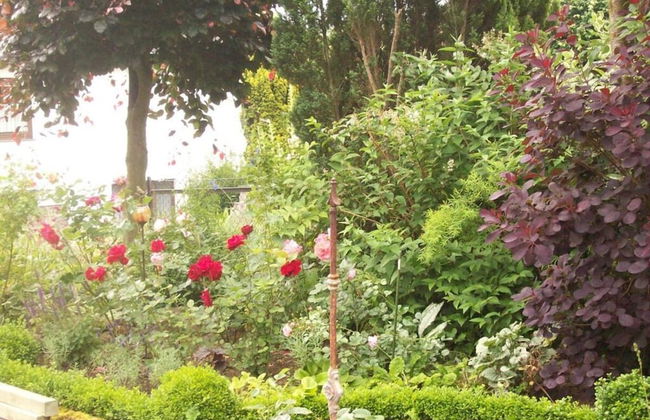 Holiday Apartment Kirchhoff - Foto 16