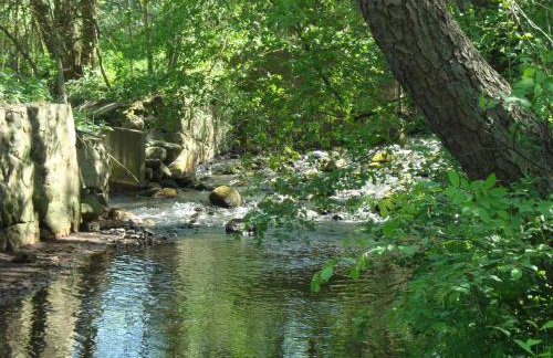 Ferienwohnung Zum alten Zollhaus - Foto 26