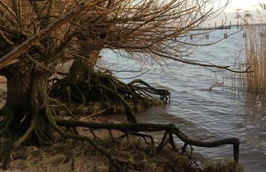 Bielenberg 37 - Foto 38