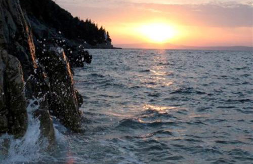 Apartments Maestral - Foto 16