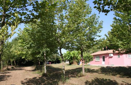 Terry Land Village - Foto 71