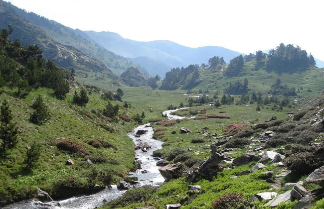 La Pleta de Soldeu Apartments - Foto 10