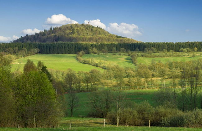 Holiday Apartment Waldfrieden - Photo 8