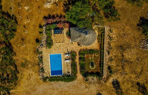 Magical Island Home - Photo 32