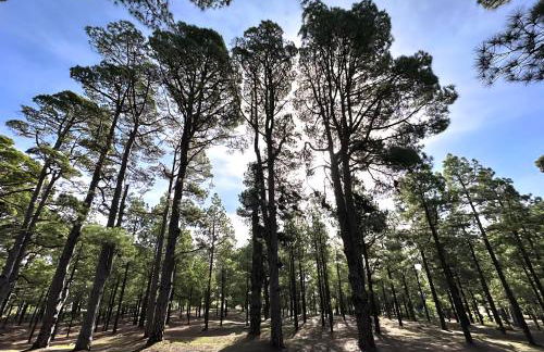 Casa Poesía de El Hierro - Poetry House of El Hierro, situated in the center of El Pinar - Foto 38