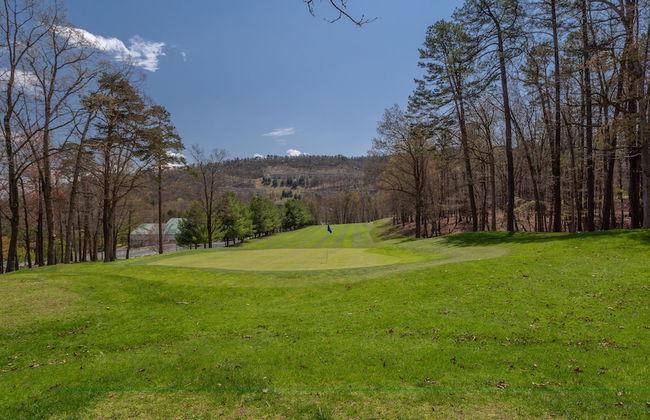 Massanutten's Woodstone Meadows by Tripforth - Foto 71