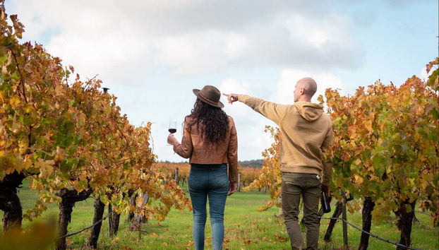 La nostra guida all'opera