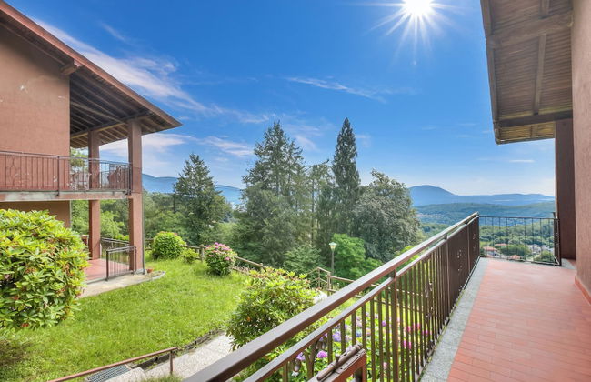 Il Vecchio Faggio - Foto 35