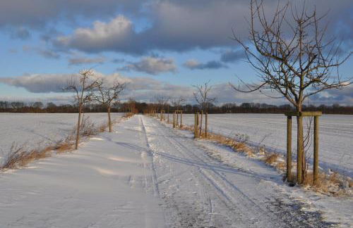 Kulturfreizeiten Ferienwohnungen - Photo 61