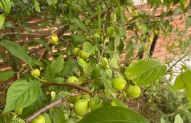 Langham Lake House Milton Keynes - ideal for couples, solo travellers, families - Foto 12