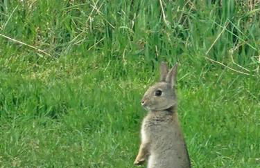 Jerusalem Farm Pods - Foto 24