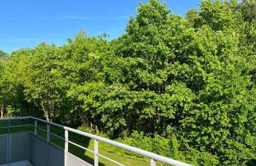 Le clos Schumann - Foto 6