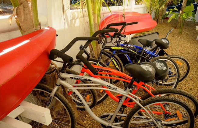 Oceanfront Sunset Gecko Condo - Ground Floor 1A - Foto 42