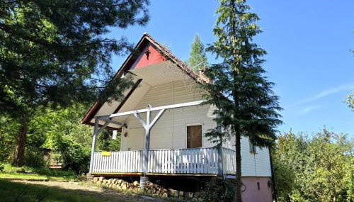 Domek pod Wiewiórką digital detox & balance - Foto 4, Garden