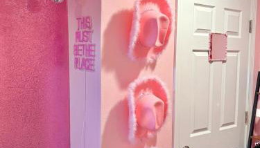 Pinksburgh pet-friendly by Strip, stadium, skyline - Foto 5