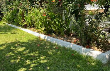 DOLCE VITA by DENTALUX - Foto 8