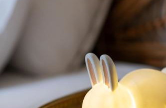 Apartamento Bautista Centro - Photo 4